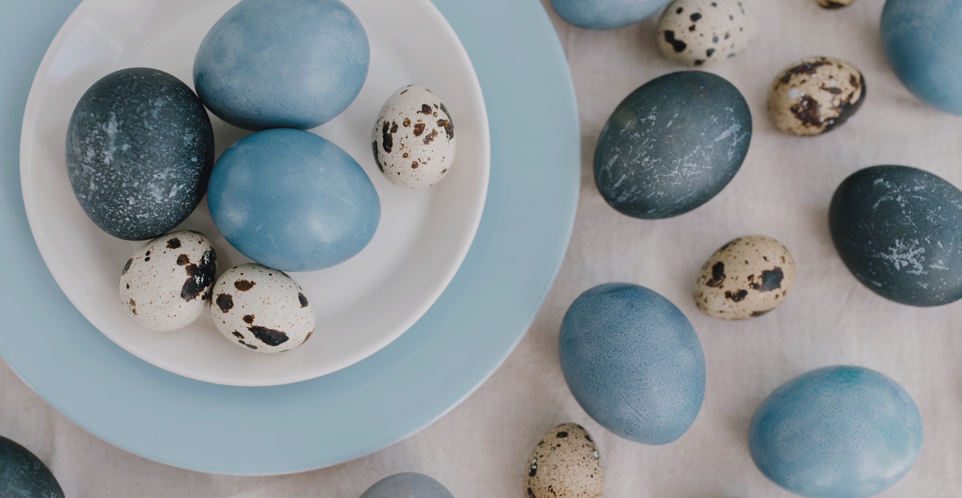 A duck egg blue easter egg plate with models overlaying and modelling a variety of women's clothing.